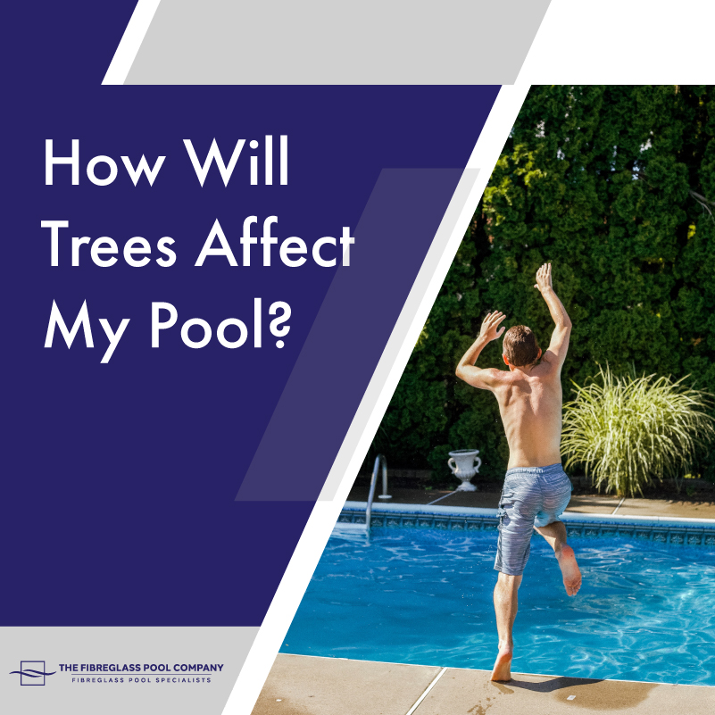 How-Will-Trees-Affect-My-Pool-10