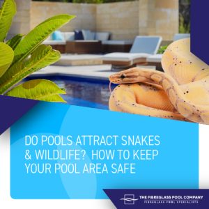 TFPC - Do Pools Attract Snakes & Wildlife How To Keep Your Pool Area Safe - FEatured Image