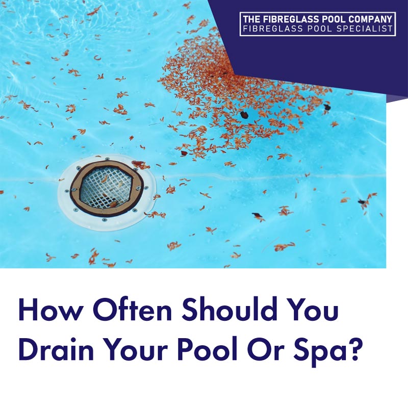 how-often-should-you-drain-your-pool-or-spa-feature